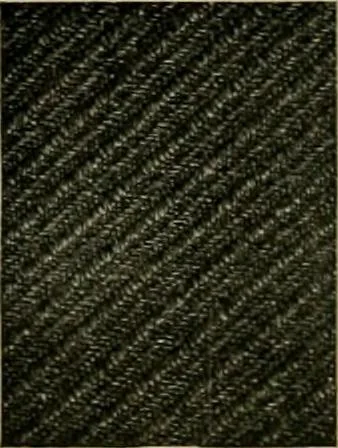 An illustration from Larkin factory-to-family plan, The, 1915, leaf 81