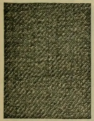 An illustration from Larkin factory-to-family plan, The, 1915, leaf 82