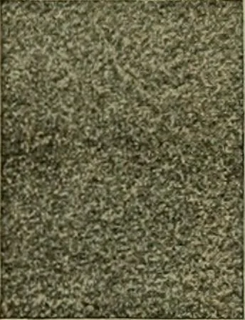 An illustration from Larkin factory-to-family plan, The, 1915, leaf 82