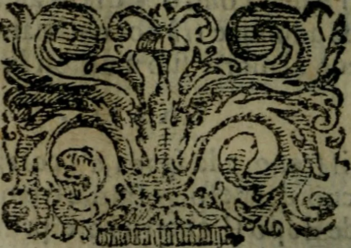 An illustration from La Roccella espvgnata di Francesco Bracciolini .., 1630, leaf 147