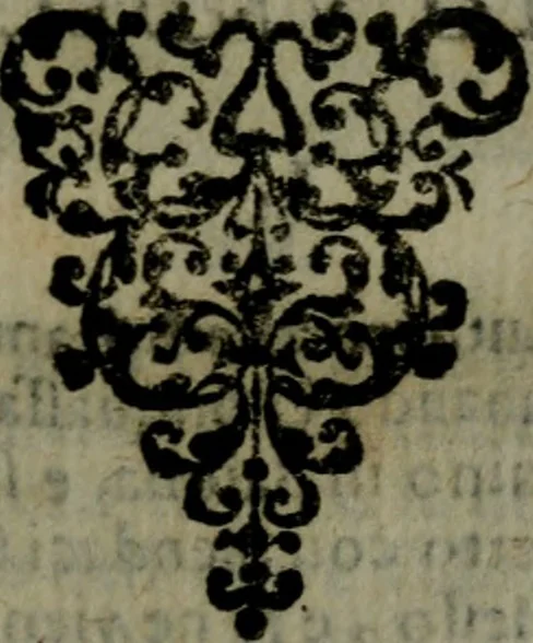 An illustration from La Roccella espvgnata di Francesco Bracciolini .., 1630, leaf 284
