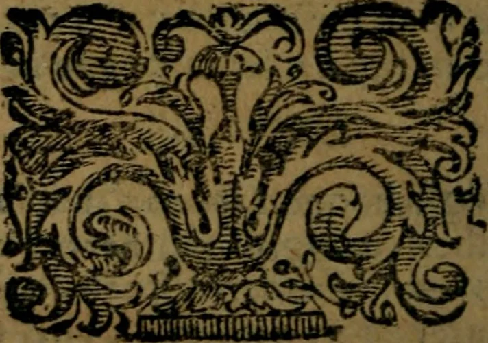 An illustration from La Roccella espvgnata di Francesco Bracciolini .., 1630, leaf 389