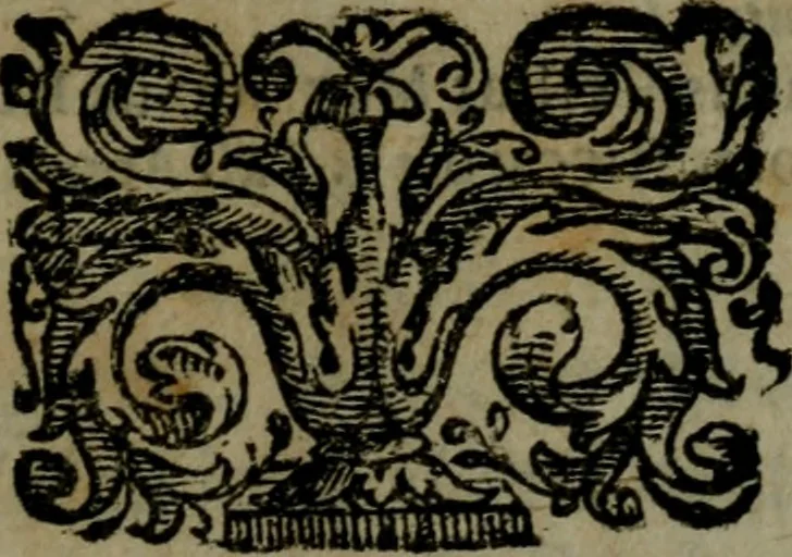 An illustration from La Roccella espvgnata di Francesco Bracciolini .., 1630, leaf 6