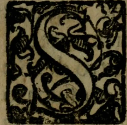 An illustration from La Roccella espvgnata di Francesco Bracciolini .., 1630, leaf 8