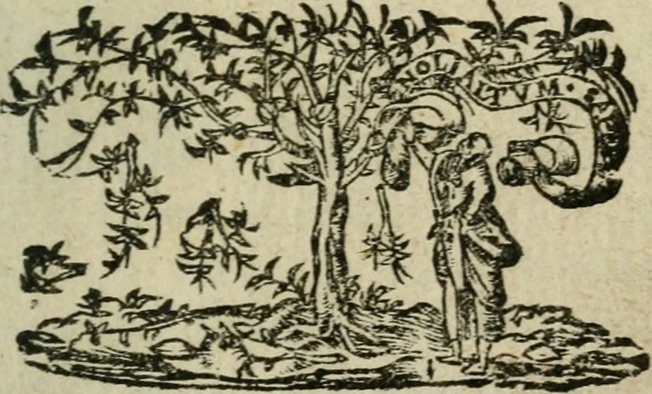An illustration from La Rochelle. Av roy tres-chrestien Lovis le Ivste, 1634, leaf 2