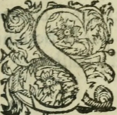An illustration from La Rochelle. Av roy tres-chrestien Lovis le Ivste, 1634, leaf 4