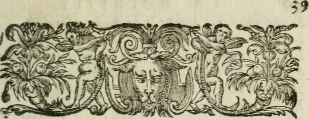 An illustration from La Rochelle. Av roy tres-chrestien Lovis le Ivste, 1634, leaf 40