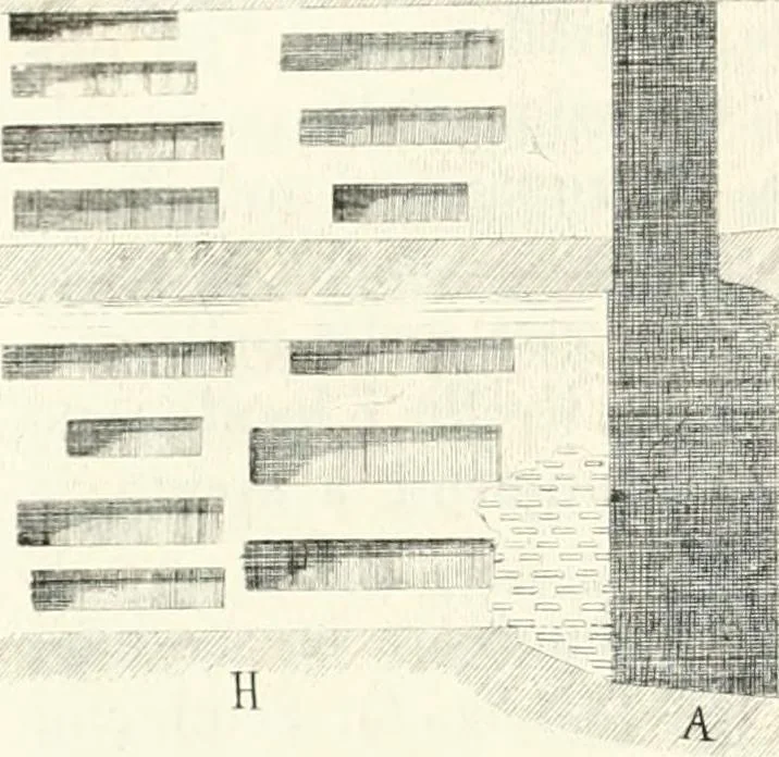 An illustration from La Roma sotterranea cristiana, 1864, leaf 489
