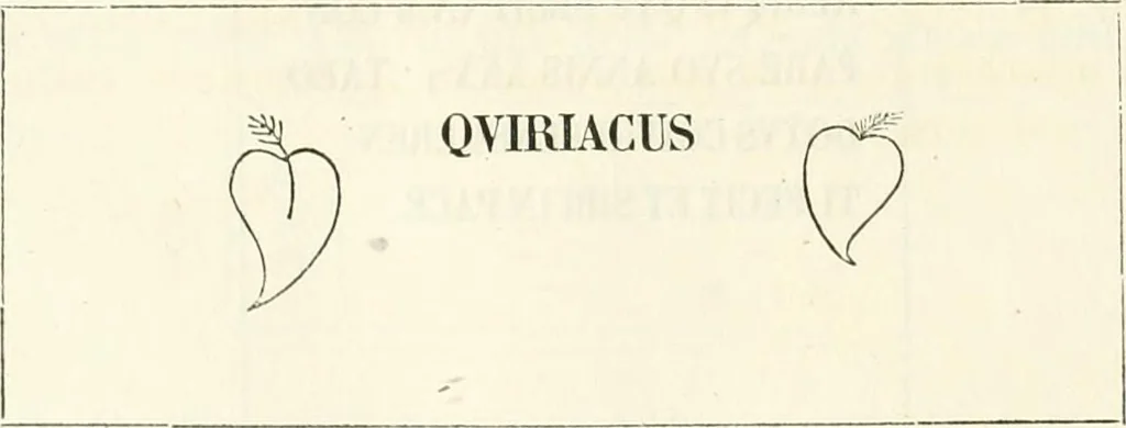 An illustration from La Roma sotterranea cristiana, 1864, leaf 319