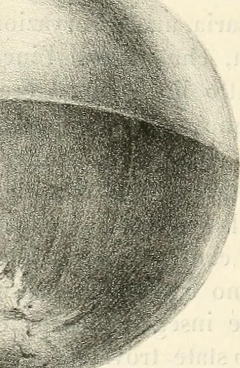 An illustration from La Roma sotterranea cristiana, 1864, leaf 743