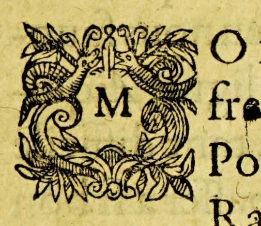 An illustration from L'arrivee des peres Capucins en l'Inde nouuelle, appellée Maraguon, : auec la reception que leur ont faict les sauuages de ce pays, & la conuersion d'iceux à nostre saincte foy., 1613, leaf 11
