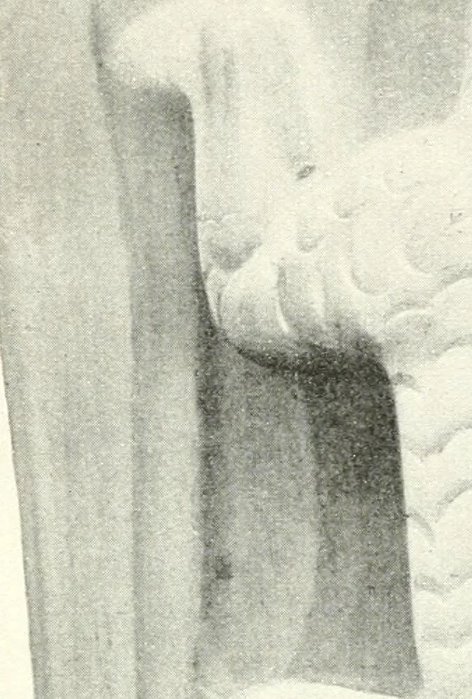 An illustration from L'art ancien du Mexique, simple esquisse, 1922, leaf 54