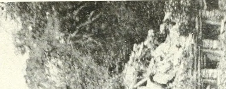 An illustration from L'art ancien du Mexique, simple esquisse, 1922, leaf 56