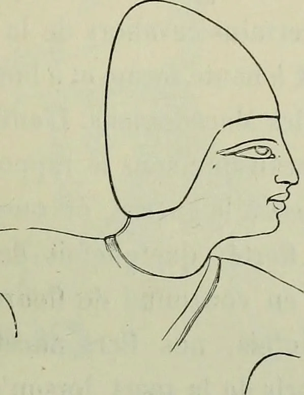 An illustration from L'art dans la parure et dans le vêtement, 1875, leaf 131