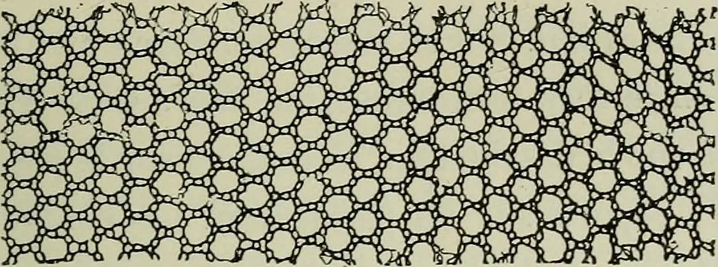 An illustration from L'art dans la parure et dans le vêtement, 1875, leaf 281