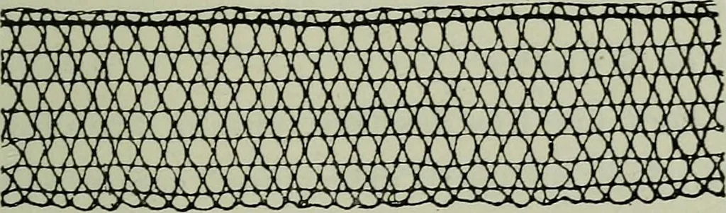 An illustration from L'art dans la parure et dans le vêtement, 1875, leaf 281