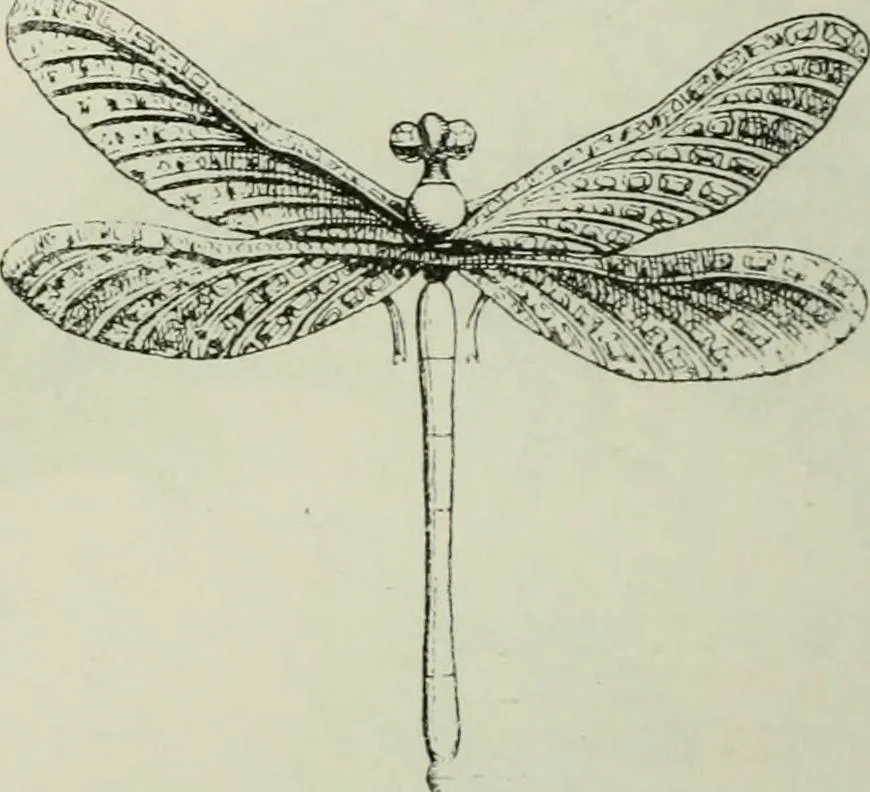 An illustration from L'art dans la parure et dans le vêtement, 1875, leaf 350