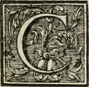 An illustration from L'art de bâtir des maisons de campagne : où l'on traite de leur distribution, de leur construction, & de leur decoration ... : avec l'explication de ses projets, et des desseins de menuiserie, de serrurerie, de parterres, & d'autres ornemens propres à la decoration intérieure & extérieure ..., 1743, leaf 362