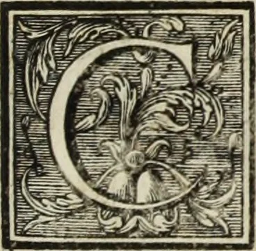 An illustration from L'art de bâtir des maisons de campagne : où l'on traite de leur distribution, de leur construction, & de leur decoration ... : avec l'explication de ses projets, et des desseins de menuiserie, de serrurerie, de parterres, & d'autres ornemens propres à la decoration intérieure & extérieure ..., 1743, leaf 54