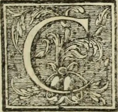 An illustration from L'art de bâtir des maisons de campagne : où l'on traite de leur distribution, de leur construction, & de leur decoration ... : avec l'explication de ses projets, et des desseins de menuiserie, de serrurerie, de parterres, & d'autres ornemens propres à la decoration intérieure & extérieure ..., 1743, leaf 262