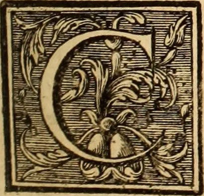 An illustration from L'art de bâtir des maisons de campagne : où L'on traite de leur distribution, de leur construction, & de leur decoration ... Avec l'explication de ces projets, et des desseins de menuiserie, de serrurerie, de parterres, & d'autres ornemens propres à la decoration intérieure & extérieure ..., 1761, leaf 114