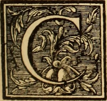 An illustration from L'art de bâtir des maisons de campagne : où L'on traite de leur distribution, de leur construction, & de leur decoration ... Avec l'explication de ces projets, et des desseins de menuiserie, de serrurerie, de parterres, & d'autres ornemens propres à la decoration intérieure & extérieure ..., 1761, leaf 220