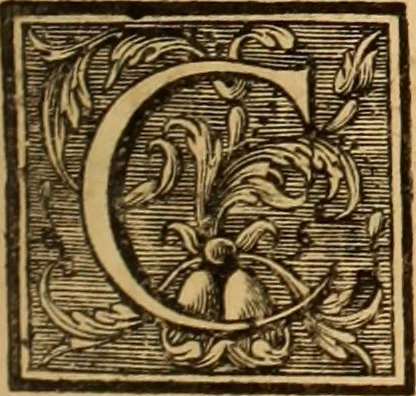 An illustration from L'art de bâtir des maisons de campagne : où L'on traite de leur distribution, de leur construction, & de leur decoration ... Avec l'explication de ces projets, et des desseins de menuiserie, de serrurerie, de parterres, & d'autres ornemens propres à la decoration intérieure & extérieure ..., 1761, leaf 360