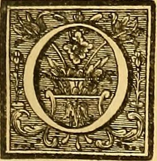 An illustration from L'art de bâtir des maisons de campagne : où L'on traite de leur distribution, de leur construction, & de leur decoration ... Avec l'explication de ces projets, et des desseins de menuiserie, de serrurerie, de parterres, & d'autres ornemens propres à la decoration intérieure & extérieure ..., 1761, leaf 162