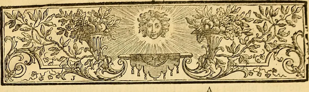 An illustration from L'art de bâtir des maisons de campagne : où L'on traite de leur distribution, de leur construction, & de leur decoration ... Avec l'explication de ces projets, et des desseins de menuiserie, de serrurerie, de parterres, & d'autres ornemens propres à la decoration intérieure & extérieure ..., 1761, leaf 18