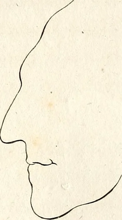 An illustration from L'art de connaitre les hommes par la physionomie, 1806, leaf 139