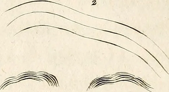 An illustration from L'art de connaitre les hommes par la physionomie, 1806, leaf 143