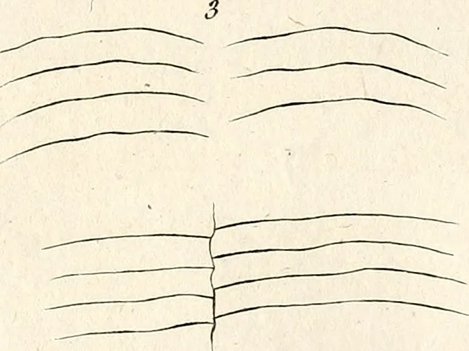 An illustration from L'art de connaitre les hommes par la physionomie, 1806, leaf 143