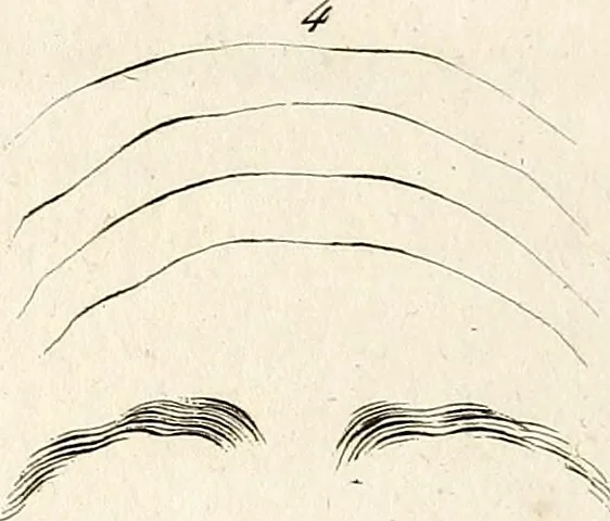 An illustration from L'art de connaitre les hommes par la physionomie, 1806, leaf 143