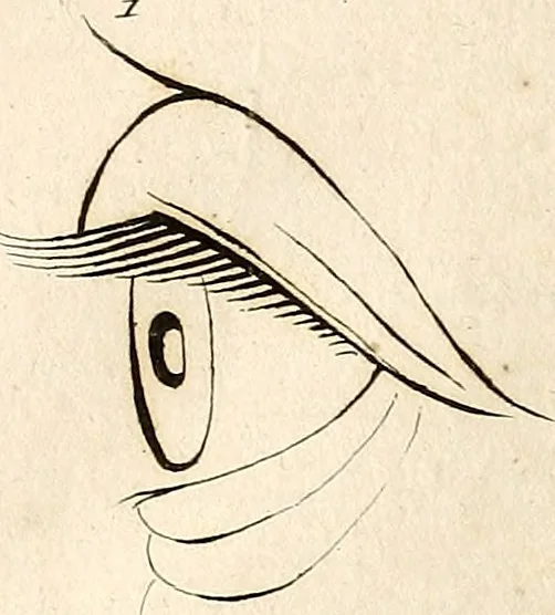 An illustration from L'art de connaitre les hommes par la physionomie, 1806, leaf 153