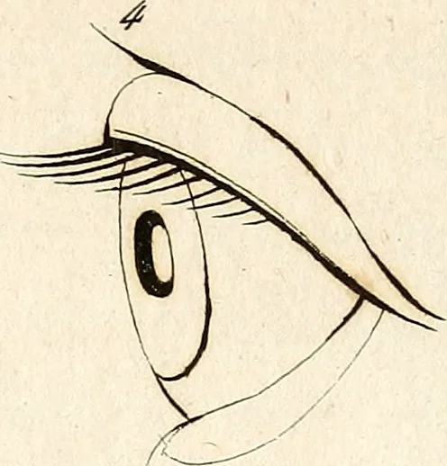 An illustration from L'art de connaitre les hommes par la physionomie, 1806, leaf 153