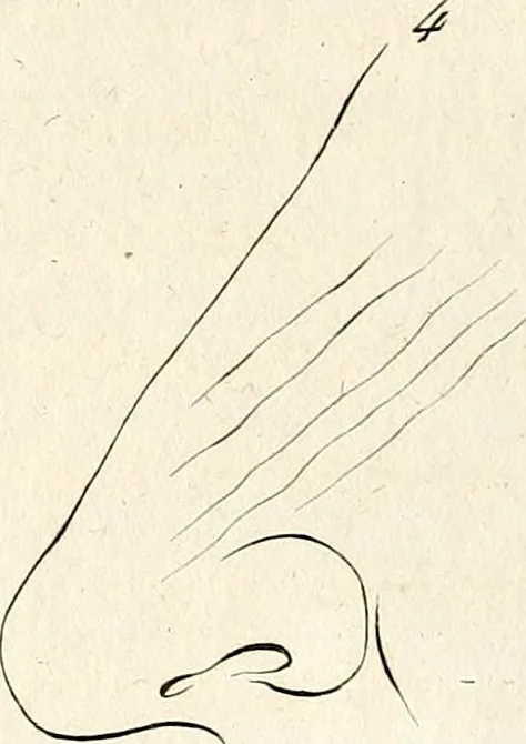 An illustration from L'art de connaitre les hommes par la physionomie, 1806, leaf 159