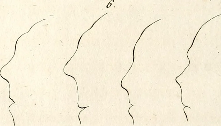 An illustration from L'art de connaitre les hommes par la physionomie, 1806, leaf 159