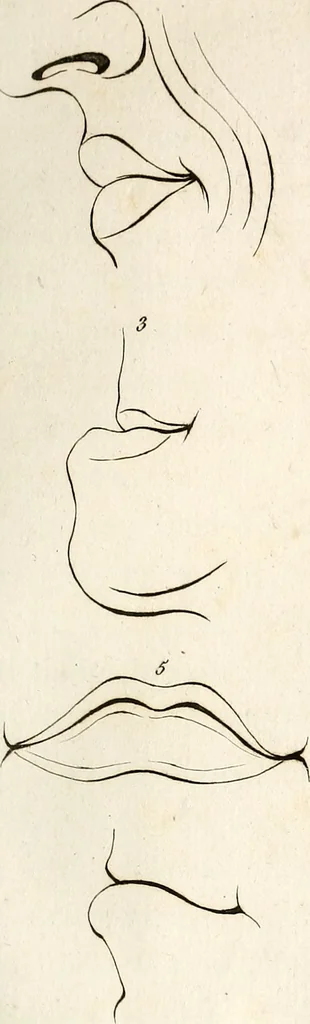 An illustration from L'art de connaitre les hommes par la physionomie, 1806, leaf 164