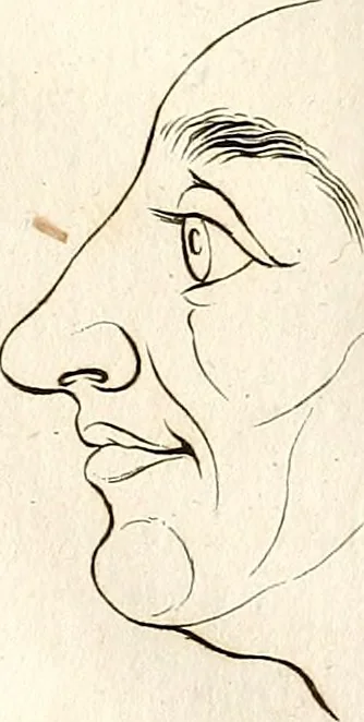 An illustration from L'art de connaitre les hommes par la physionomie, 1806, leaf 169