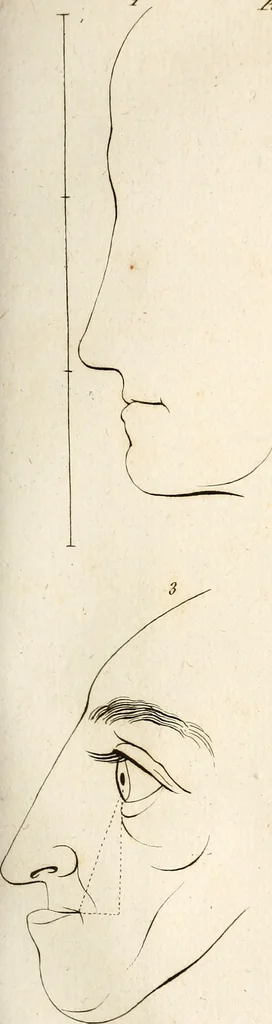 An illustration from L'art de connaitre les hommes par la physionomie, 1806, leaf 174