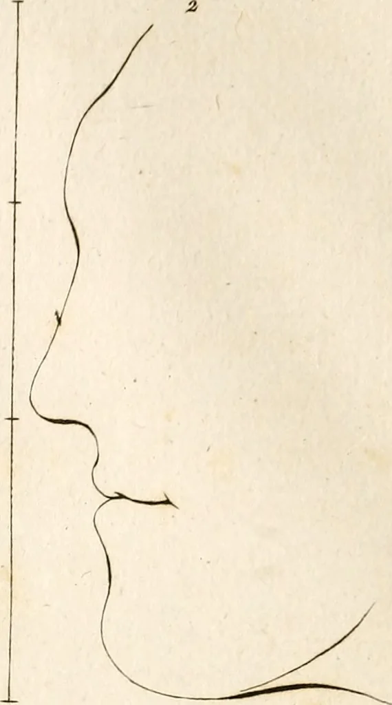 An illustration from L'art de connaitre les hommes par la physionomie, 1806, leaf 174
