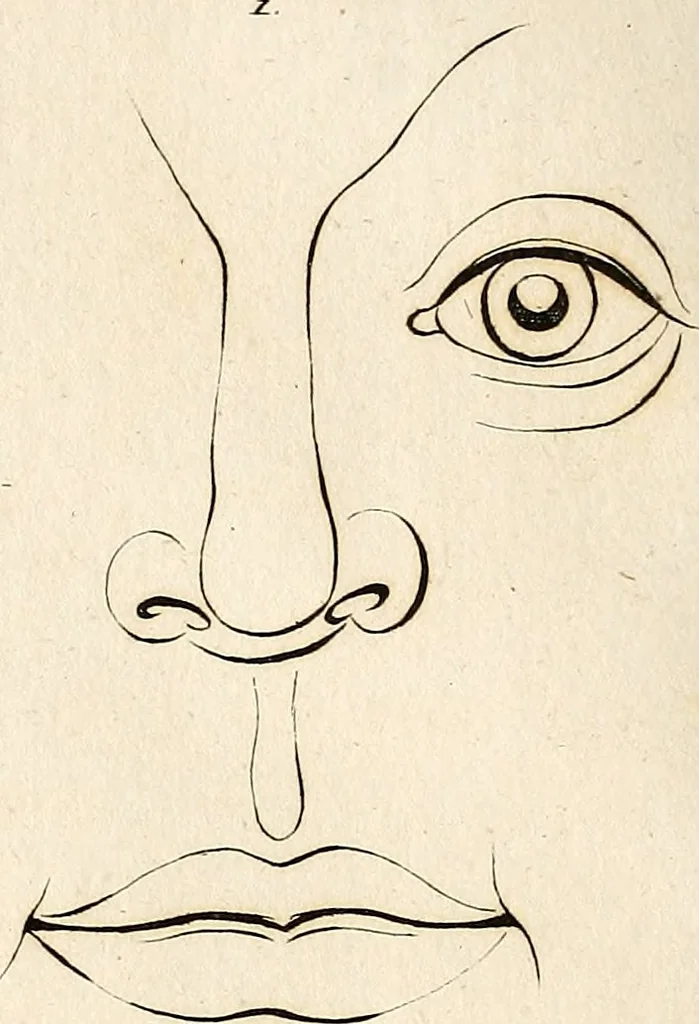 An illustration from L'art de connaitre les hommes par la physionomie, 1806, leaf 177