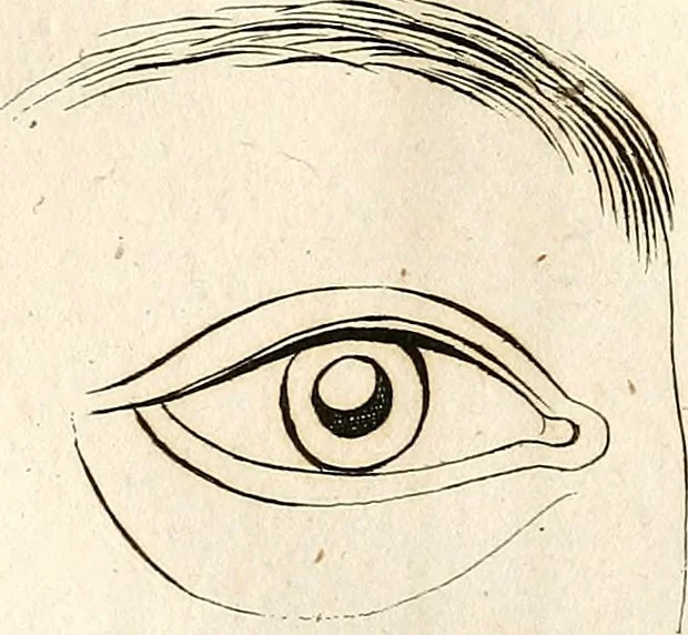 An illustration from L'art de connaitre les hommes par la physionomie, 1806, leaf 177