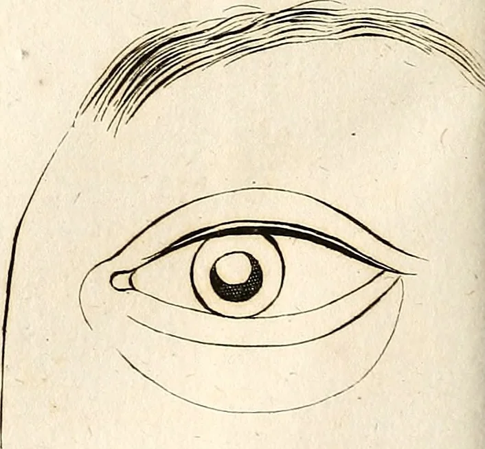An illustration from L'art de connaitre les hommes par la physionomie, 1806, leaf 177