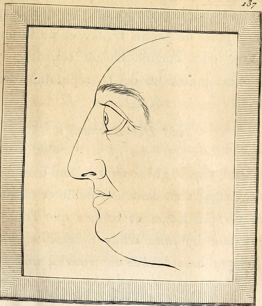 An illustration from L'art de connaitre les hommes par la physionomie, 1806, leaf 184