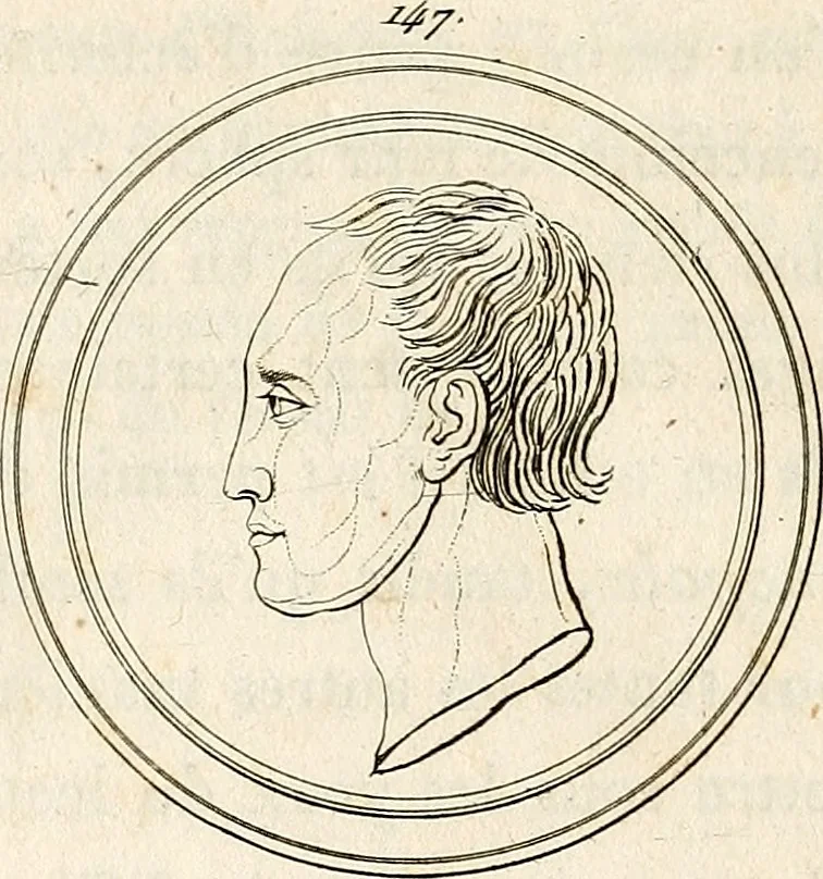 An illustration from L'art de connaitre les hommes par la physionomie, 1806, leaf 279