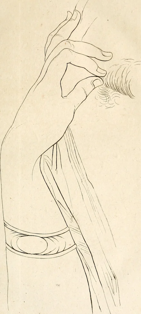 An illustration from L'art de connaitre les hommes par la physionomie, 1806, leaf 28