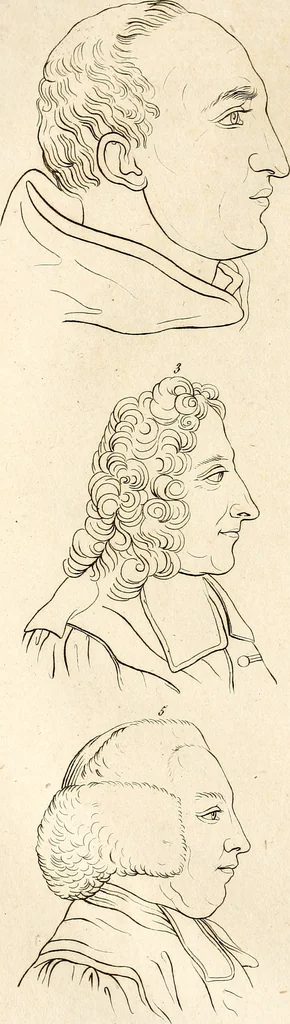 An illustration from L'art de connaitre les hommes par la physionomie, 1806, leaf 281