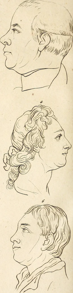An illustration from L'art de connaitre les hommes par la physionomie, 1806, leaf 281