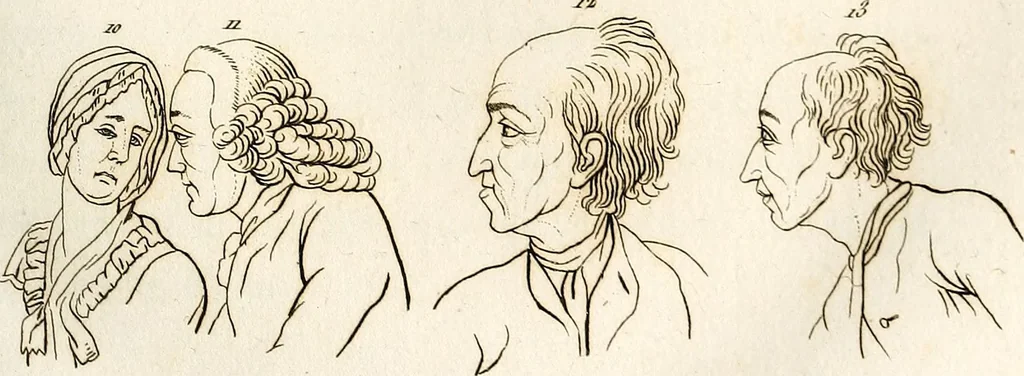 An illustration from L'art de connaitre les hommes par la physionomie, 1806, leaf 290